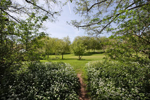 Photo 10- click for photo gallery